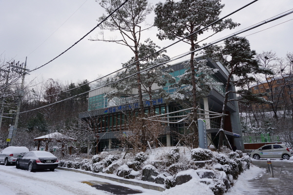 2017년 봉제산의 겨울